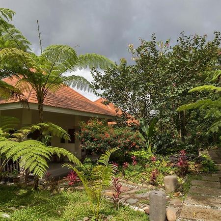 Ara Garden Inn, Accommodation, Yoga Studio & Spa 루텡 외부 사진