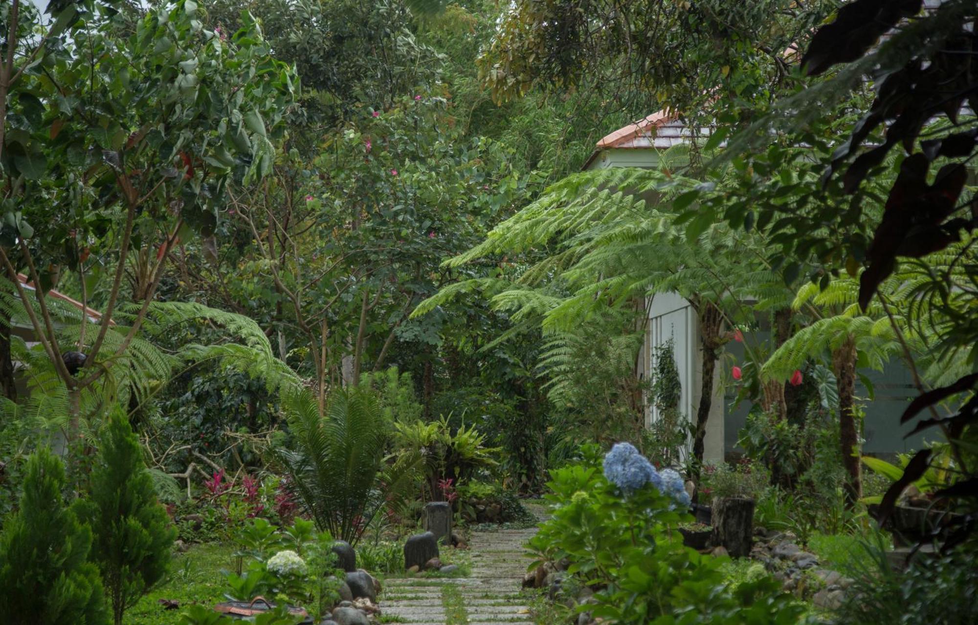 Ara Garden Inn, Accommodation, Yoga Studio & Spa 루텡 외부 사진