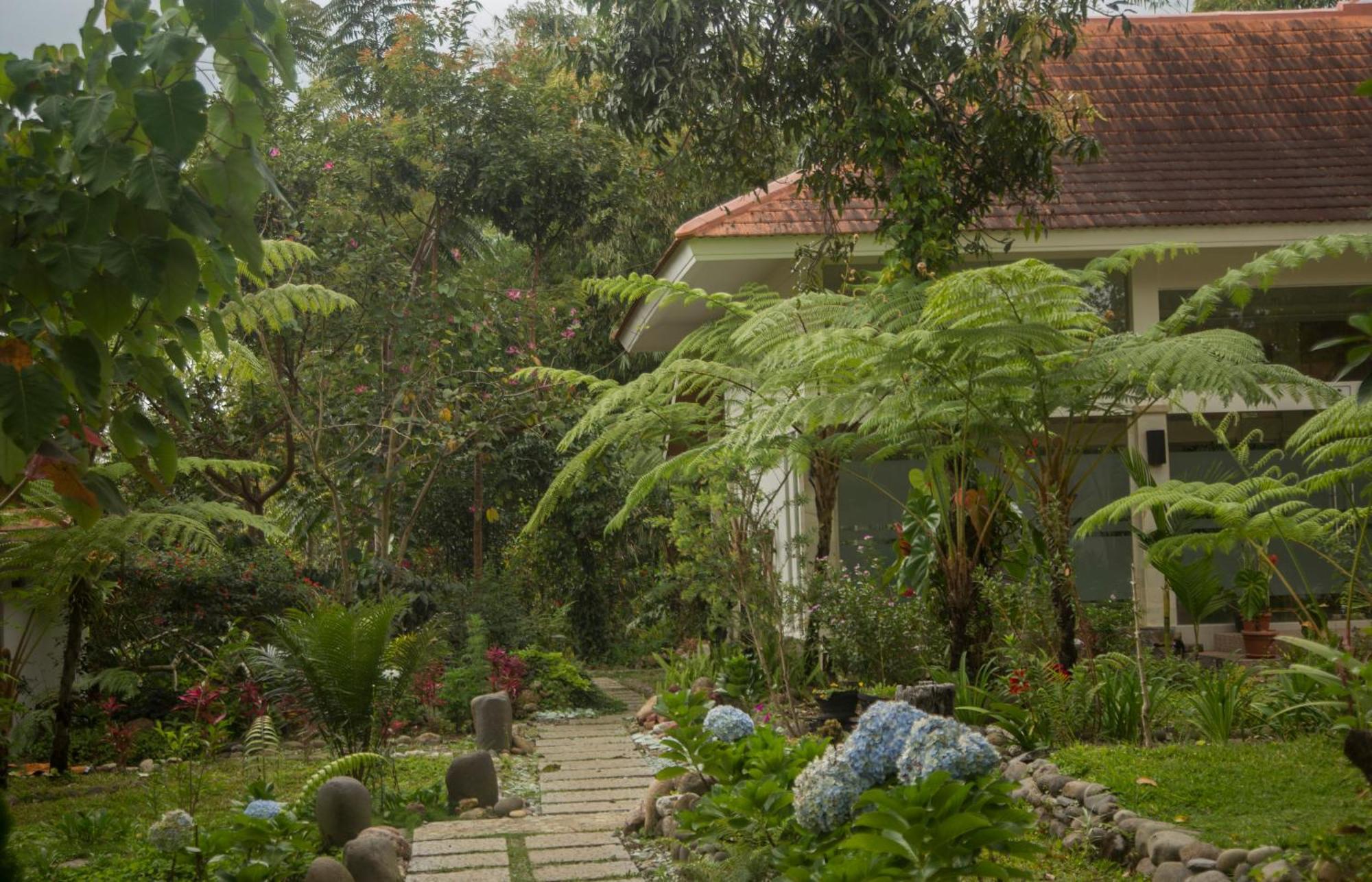 Ara Garden Inn, Accommodation, Yoga Studio & Spa 루텡 외부 사진